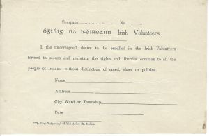 The Irish Volunteer
